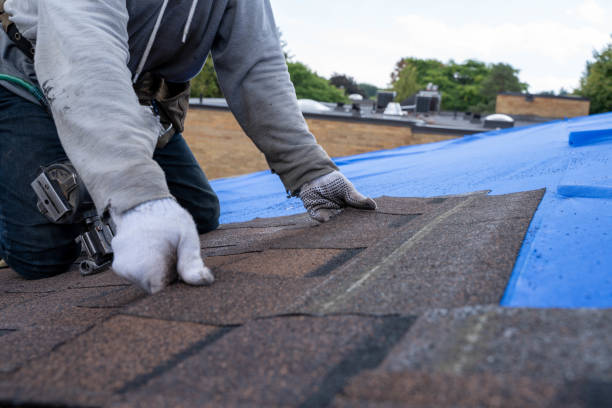 Best Sheet Metal Roofing  in Marshall, IL